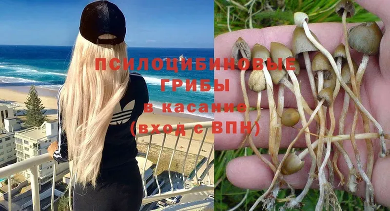 Галлюциногенные грибы MAGIC MUSHROOMS  как найти закладки  кракен рабочий сайт  Агрыз 